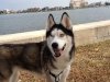 cleo-and-the-breakers-palm-beach