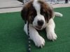 cooper-at-marina