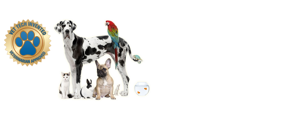 Cat sitter West Palm Beach — dogs and cats cared for by Four Paws of Palm Beach